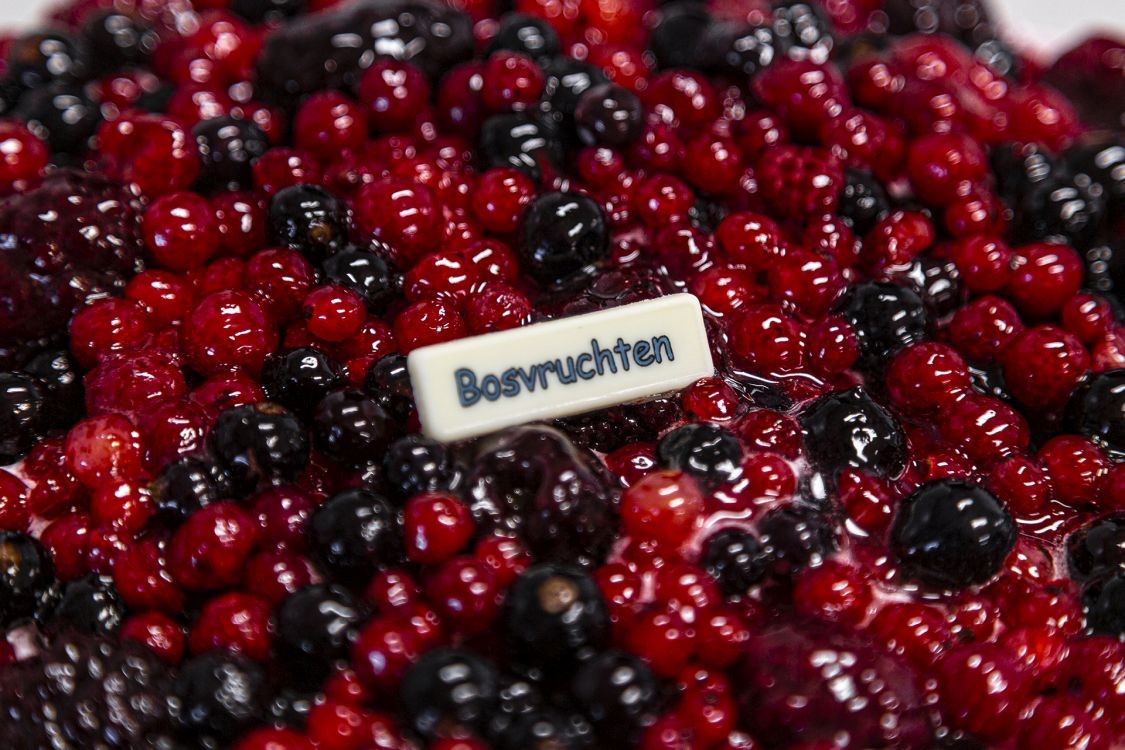 Bosbessen Deluxe Schelp